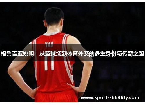 格鲁吉亚姚明：从篮球场到体育外交的多重身份与传奇之路